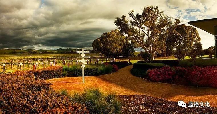 6个葡萄酒旅游新去处，你都get到了吗?