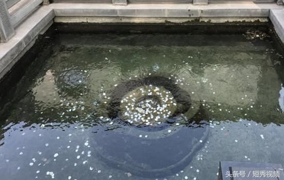 涨知识!你知道撒向景点的硬币最后都去了哪吗?