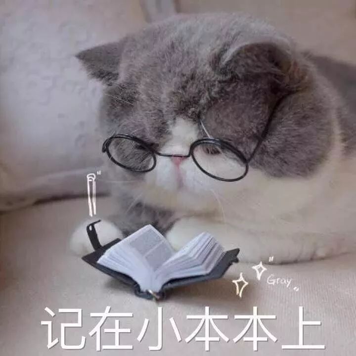 2019深圳市中小学放假时间表,寒假暑假放假时小学暑假安徽图片