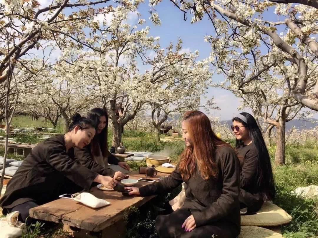 我在梨花盛开的听紫云，候你佳音！