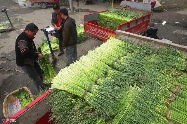 每年“菜贩子”纷纷来农村收菜以及农副产品，收购商是否成为过去