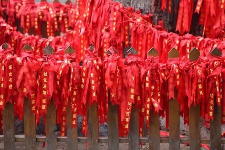 天呐! 石家庄这里不仅景点免费, 连观光车都免