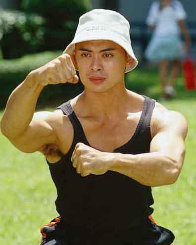 武打明星真功夫前十名排行榜,吴京第九,第一实