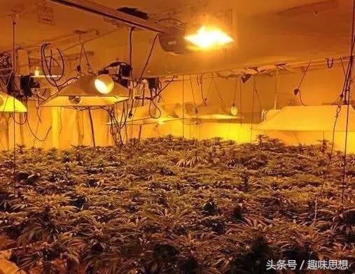 华人买下100处房产不住人，结果被美政府没收！到底是什么来头？