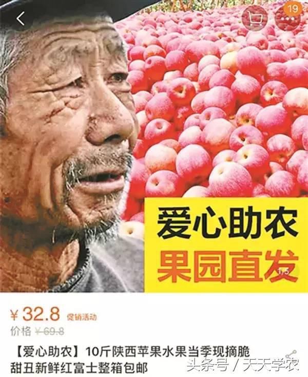 “乌柑”68元\/件，这是新的柑橘品种？好种吗？怎么那么贵？