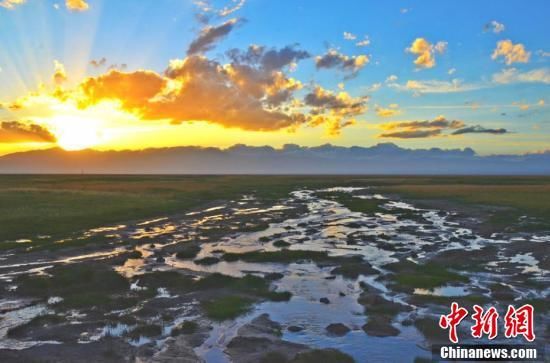 甘肃苏干湖草原湿地水草丰美候鸟翻飞