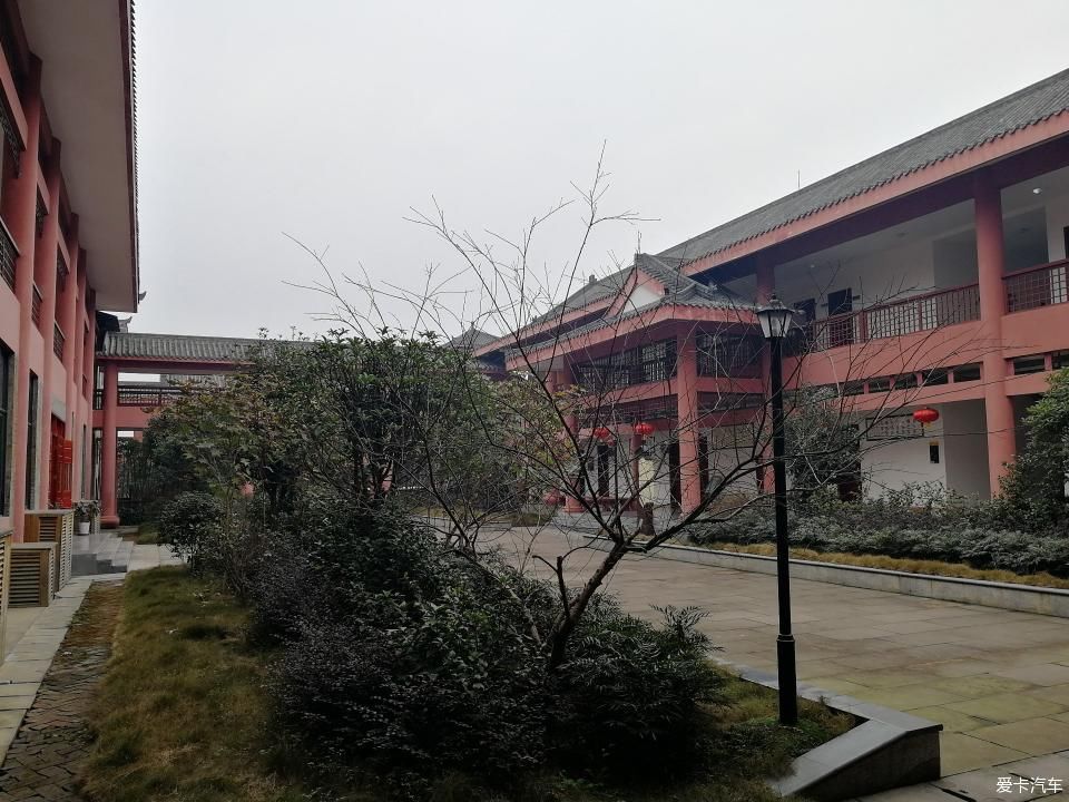 参观牛碾坪万亩观光茶