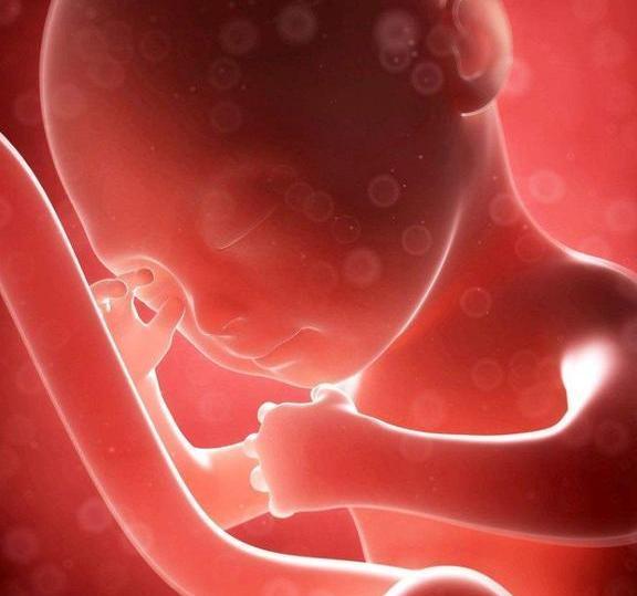 下盘大的妈妈,生孩子更轻松?其实好不好生,取