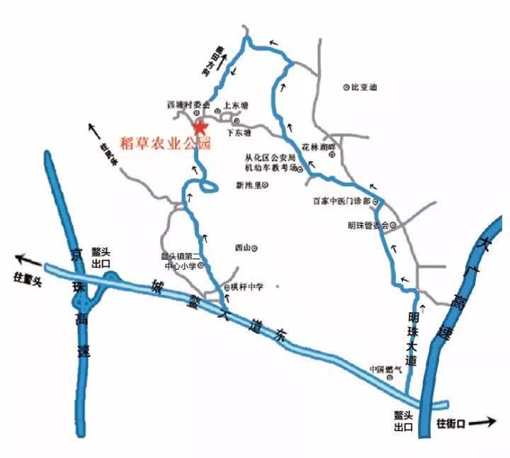 广州公园版“旅行青蛙”春节游玩最全攻略！教你玩转稻草农业公园