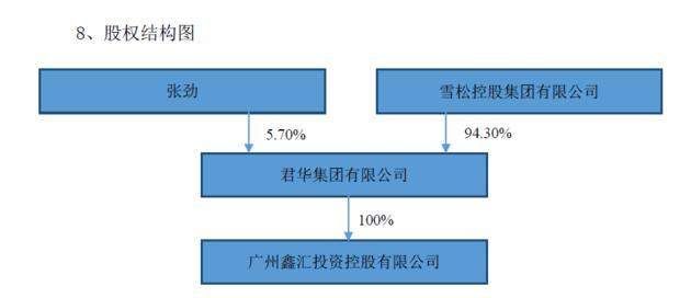 雪松控股入主猛狮科技 清洁能源之路将跑得更猛