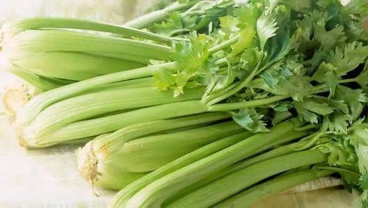 为何大家从来都不吃芹菜叶?是太脏了,营养没营还是结肠癌晚期食谱图片