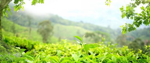 切中基层工作痛点,向形式主义亮剑