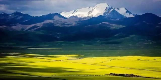 去全世界最美的花海，做最浪漫的事