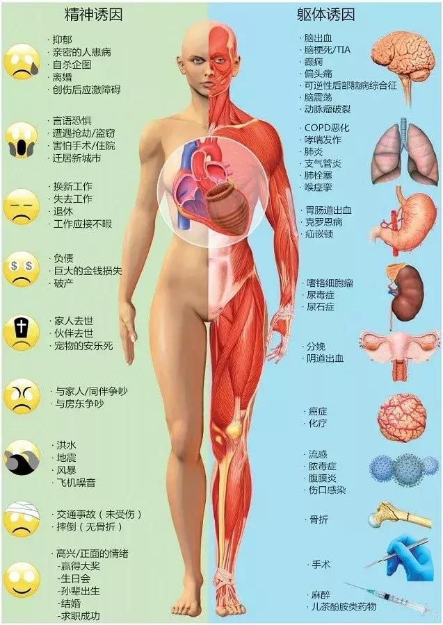 Takotsubo综合征--心碎综合征的诊断