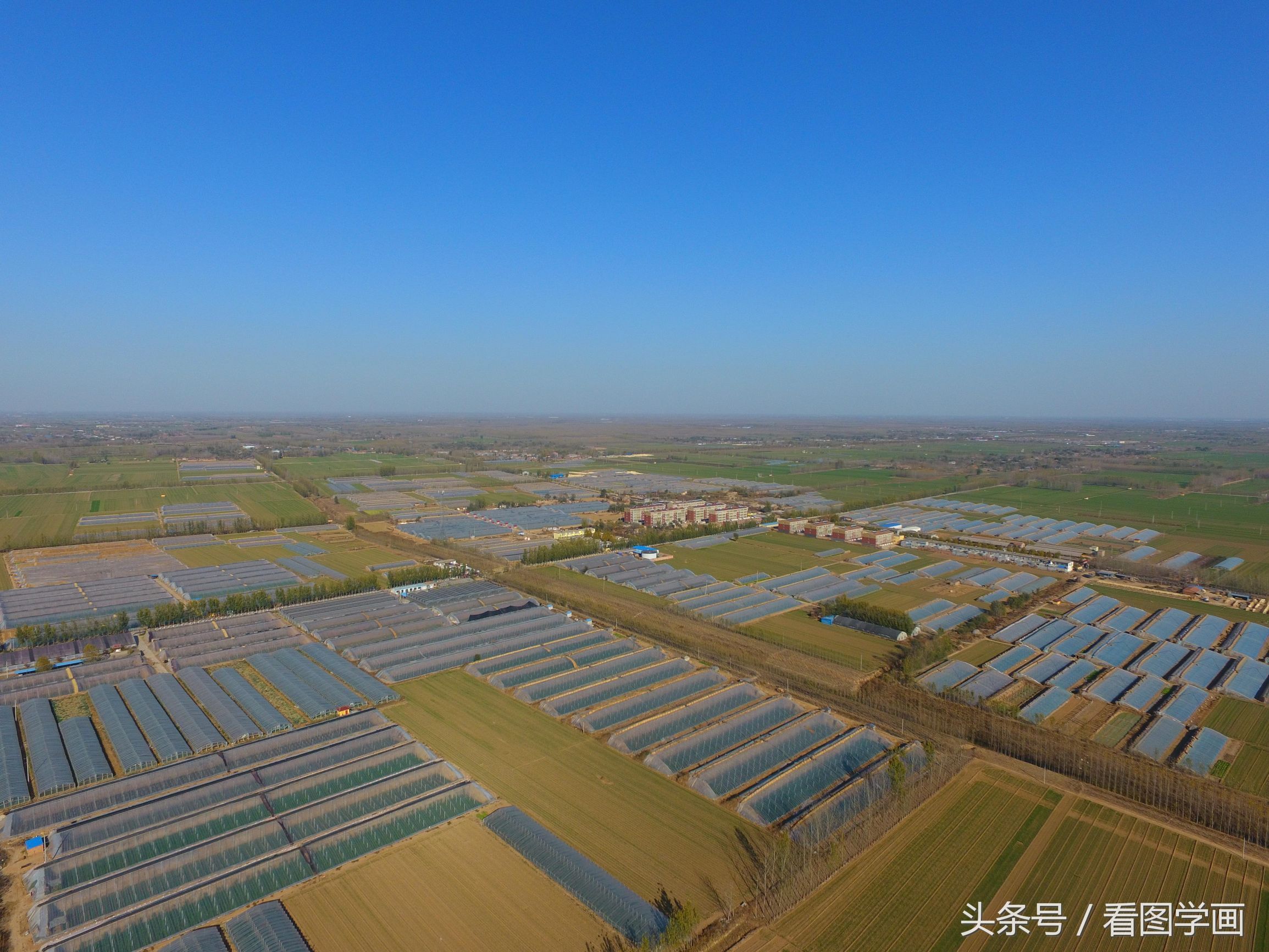 蔬菜大棚村又开始种植苹果五年后亩产量过万斤_【今日爆点】