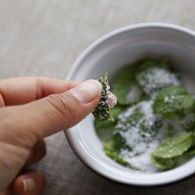 西葫芦金枪鱼佐香蒜酱 薄荷荔枝