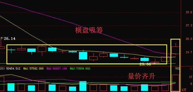 中国芯片第一股严重被低估，大股东290万股增持，5月有望超华锋股