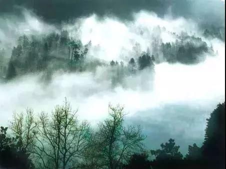 清明买不上票？各主题列车带你游全国！