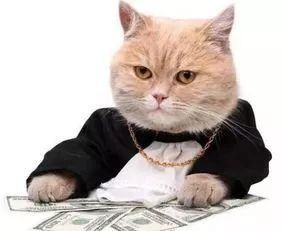 官宣:五一假期湖南天气预报权威发布!