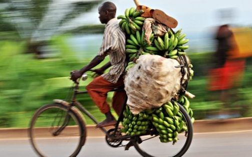 实拍非洲小国:买辆自行车能创业,自行车跑运输