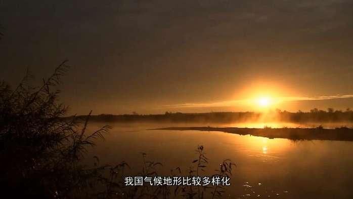 中国山东一夜之间大面积消失一种生物 真相曝光后俄罗斯却尴尬了