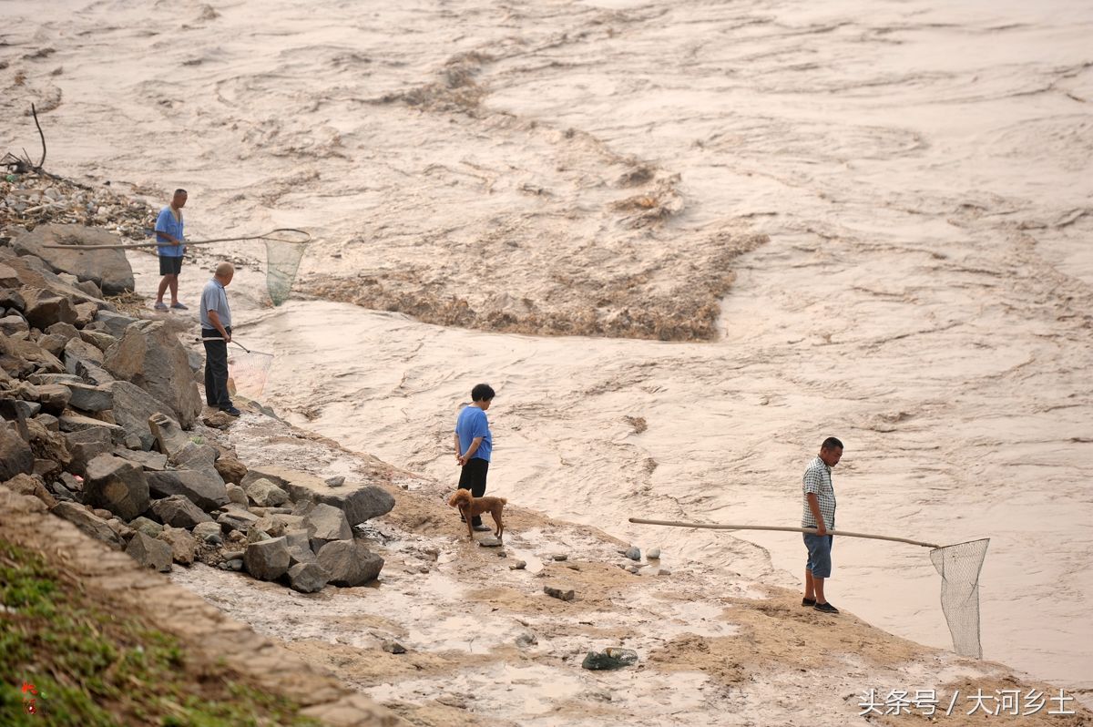 黄河流鱼奇观不再，大叔河边等一天捞了三条鱼，有人却摸起了螃蟹