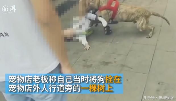 重庆4龄童被拴于人行道的比特犬咬住不松口，众人救下送医