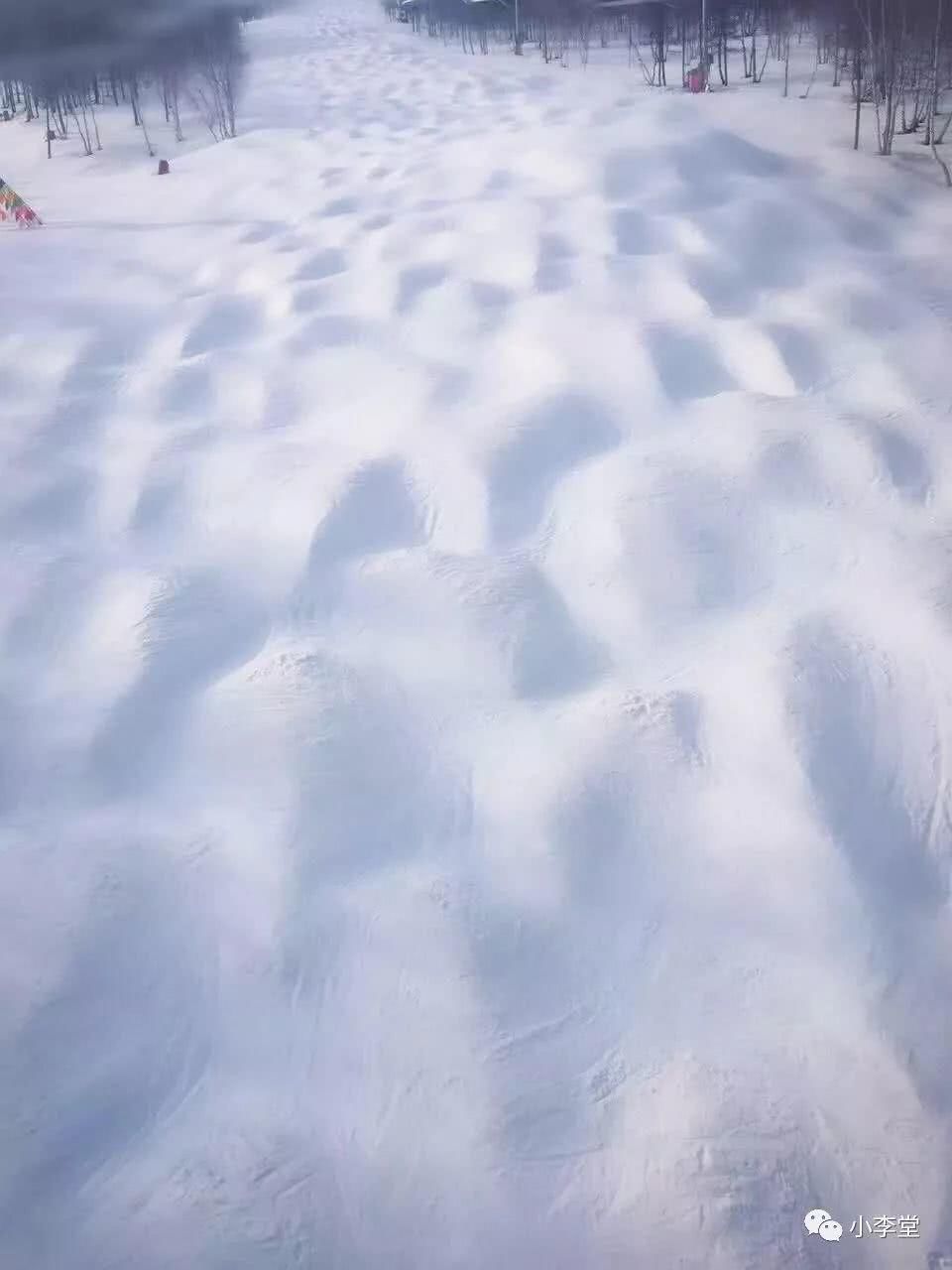 带着雪板去旅行，带着画本去滑雪