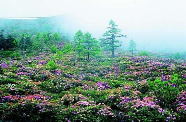 旅游文化:云南最值得玩的地方!云南旅游必去的