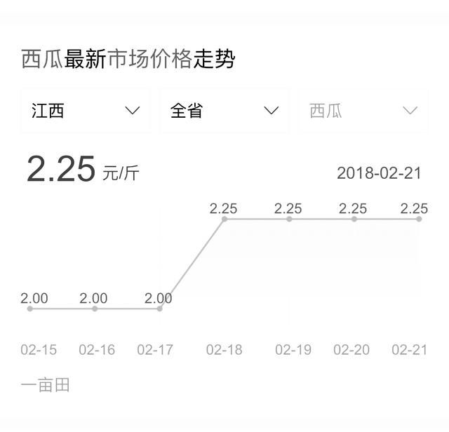 农民种植“双胞胎”西瓜，有人出高价购买，被其拒绝