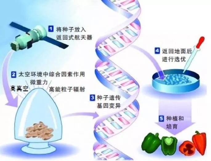 中国空间站2020年运行!为啥说载人航天事关乎你我?
