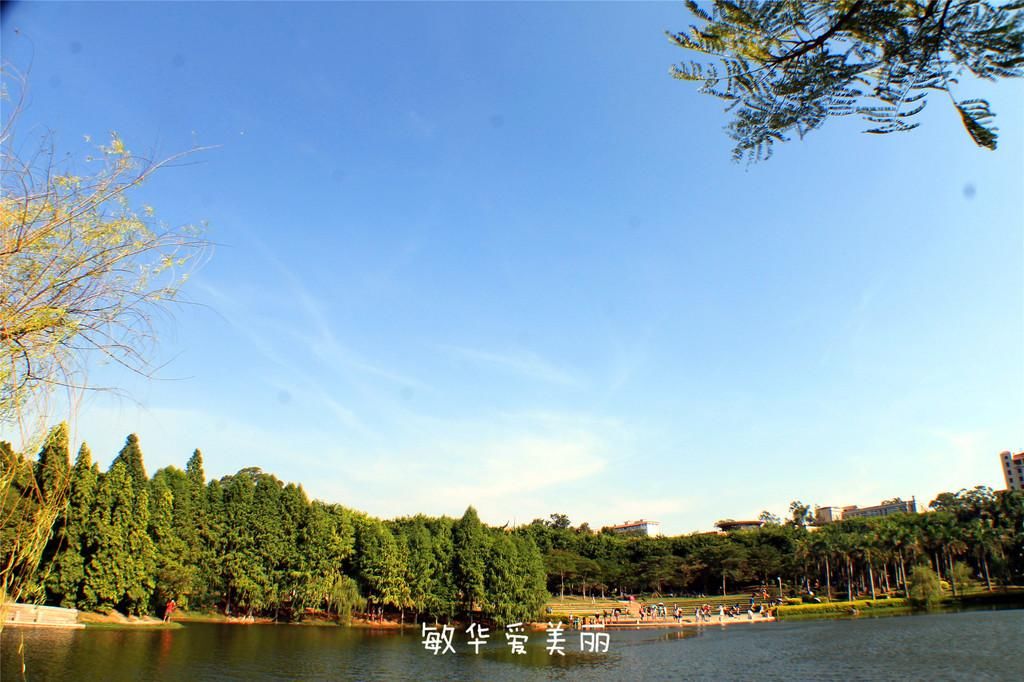 厦门市十五届人大五次会议