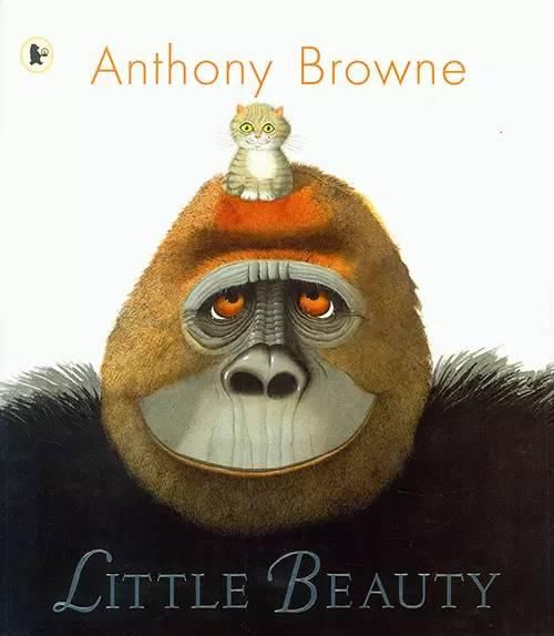 世界著名绘本大师《安东尼布朗12册进口英语