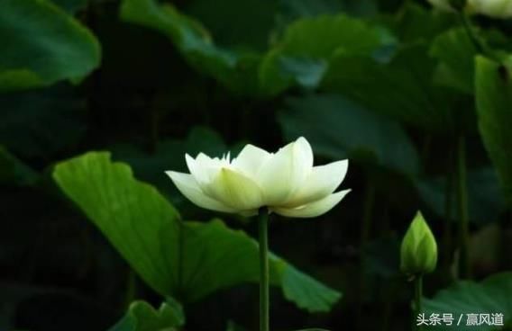 总结古代千年文化精短古文,如今读来,仍然获益匪浅