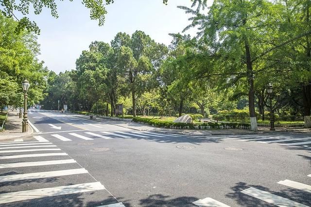 上合峰会让青岛更美丽，这个海滨异国风情浓郁的地方不容错过