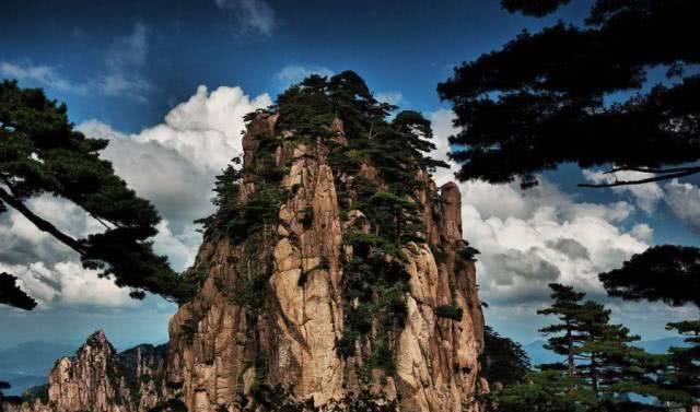 2019年共多少起地震