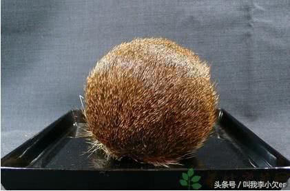 中国各省特产大全,知道青海三宝及 其他特产