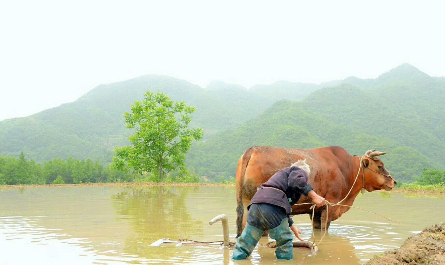 此情此景，距离今天的孩子究竟有多远?