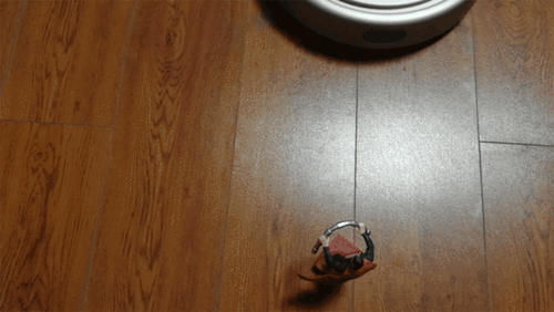 扫地机器人开始怎么用