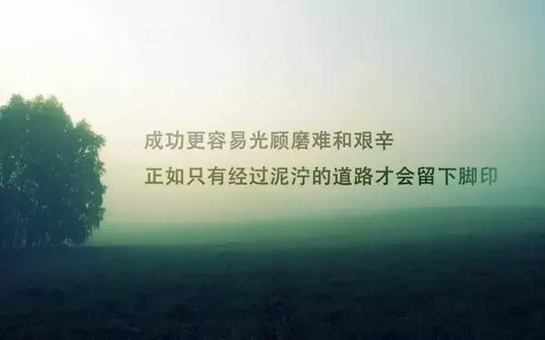 t0108e62a3f5012224c.jpg