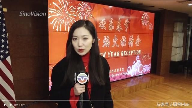 欢乐春节艺术中国汇！绚烂的哈德逊河新春焰火在纽约上空绽放