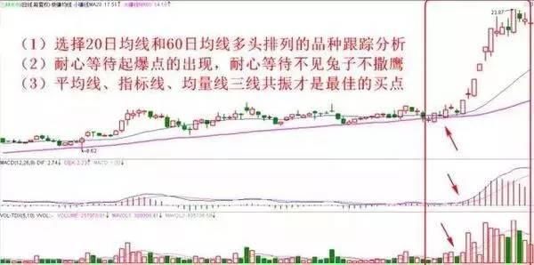 一代“股神”的陨落!中国股市闹出世界大笑话，命运将完全改变