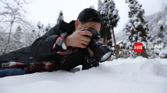 佛系蚊子不咬人 春节出来赏雪景 四川地区首次发现罕见“冬大蚊”