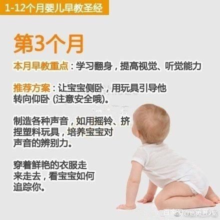 育儿早教圣经，早看早受益，爸妈再也不用找教材了