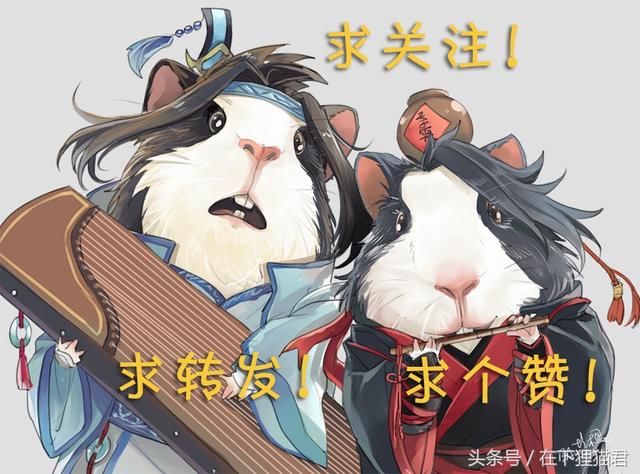 魔道祖师曦瑶纯肉超污