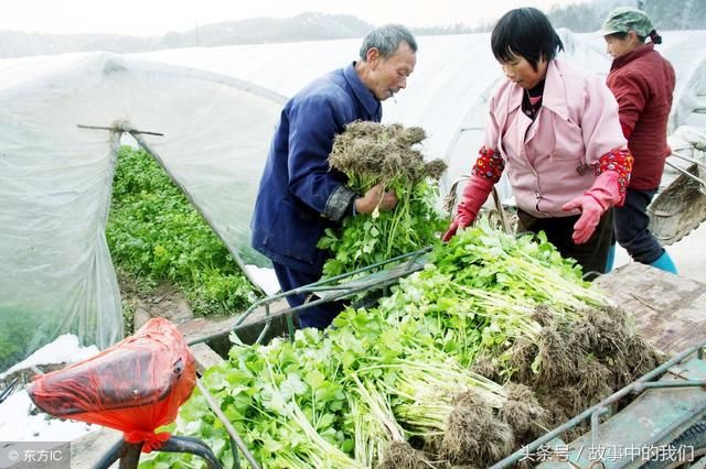 老农骑三轮车去卖菜，不小心撞坏路边豪车，车主却偷塞给他一张卡