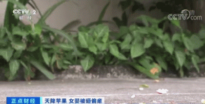 中央八项规定精神落到