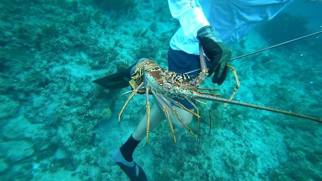 国外土豪们这样吃海鲜, 过程太霸气了, 看着真是羡慕啊!