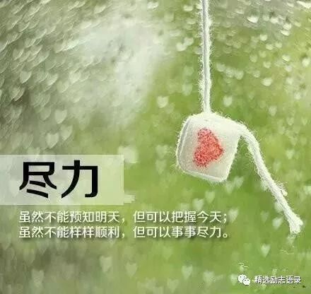 t010a25d7744d6293df.jpg