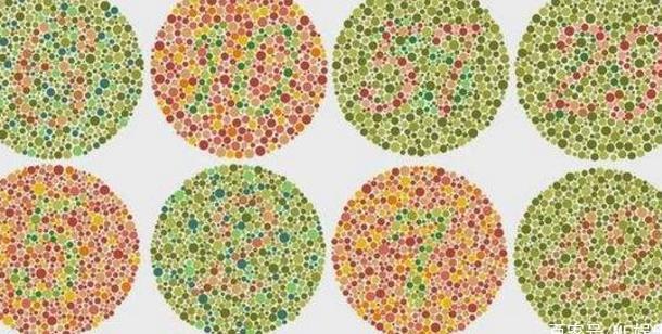 5张色盲图,挑战你对色彩的辨识能力,一般人只